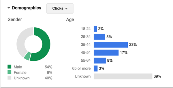 Adwords - Audience Insights Demographics