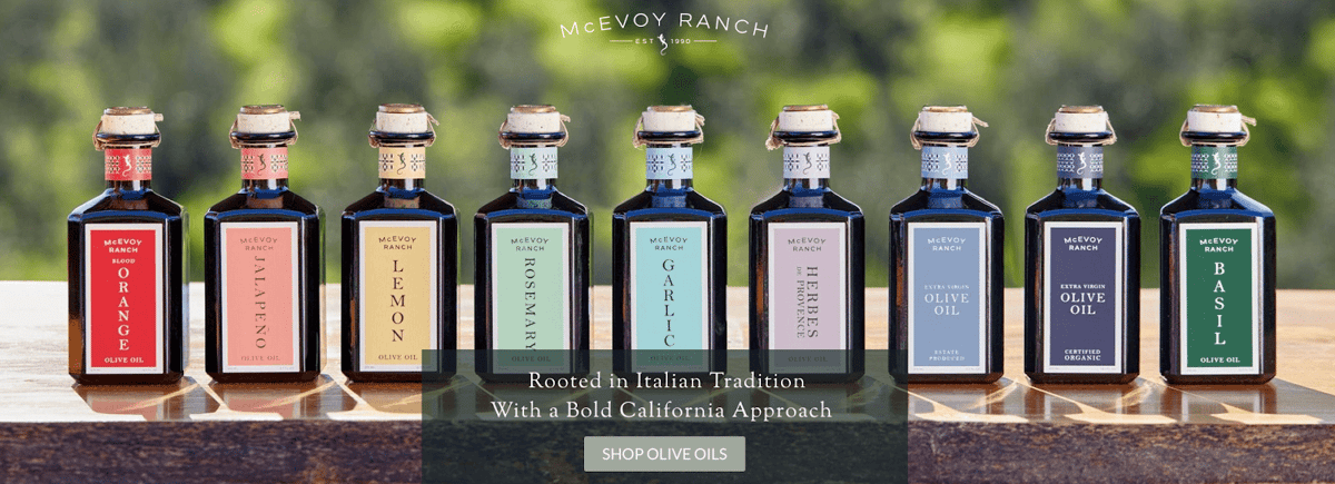 Ecommerce Call to Action Examples - Shop Now