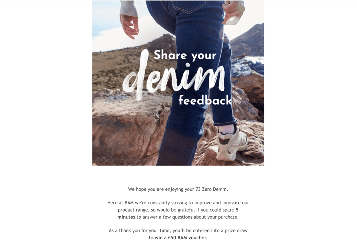 Online survey and feedback