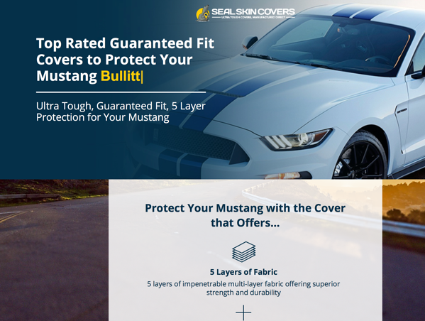 Landing Page for Lead 