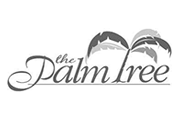 palmtreeboutique_logo